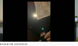 乱视频,揭秘网络乱象背后的真相与反思